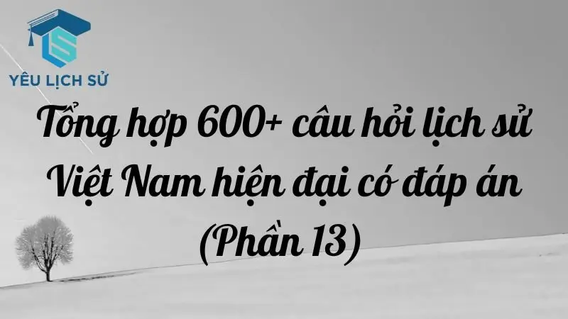 Tổng hợp 600+ câu hỏi lịch sử Việt Nam hiện đại có đáp án (Phần 13)