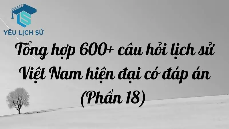 Tổng hợp 600+ câu hỏi lịch sử Việt Nam hiện đại có đáp án (Phần 6)