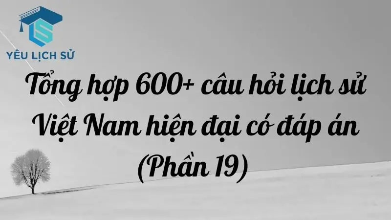 Tổng hợp 600+ câu hỏi lịch sử Việt Nam hiện đại có đáp án (Phần 19)