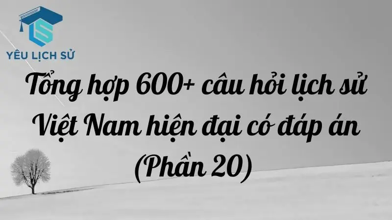 Tổng hợp 600+ câu hỏi lịch sử Việt Nam hiện đại có đáp án (Phần 20)