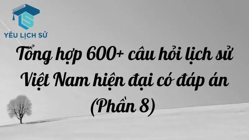 Tổng hợp 600+ câu hỏi lịch sử Việt Nam hiện đại có đáp án (Phần 8)