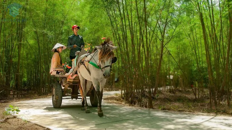 Di tích Ô Tà Sóc – Nhân chứng lịch sử kháng chiến hào hùng