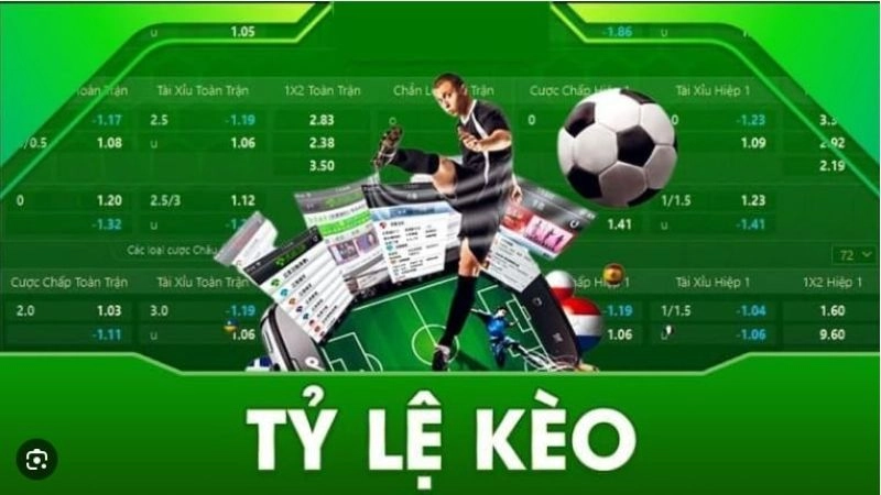 Hiểu đúng về tỷ lệ kèo để không bị dẫn dắt sai lầm