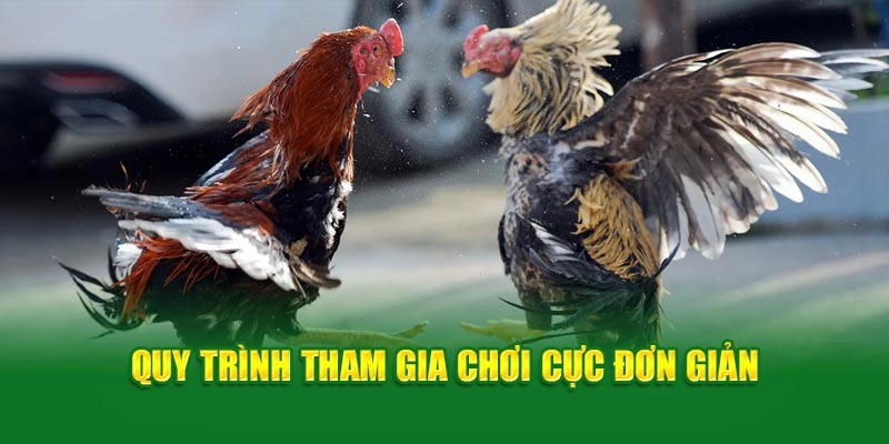 Quy trình tham gia chơi cực đơn giản