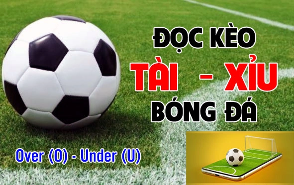 Tận dụng kèo mở cơ hội lớn cho bạn