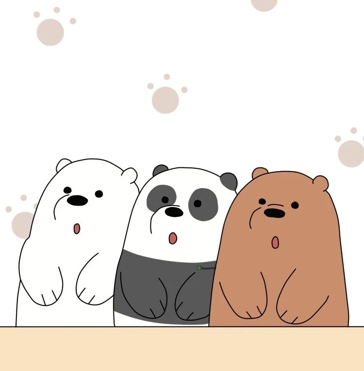 Hình gấu trắng cute đẹp mắt để chia sẻ bạn bè