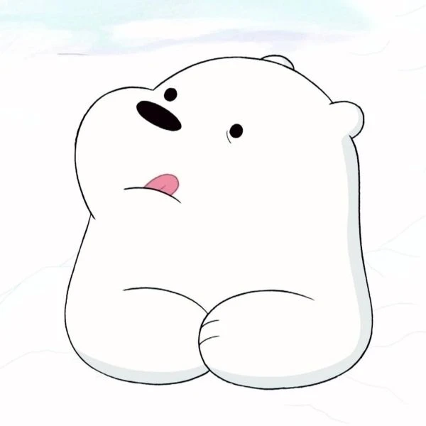 Những hình ảnh gấu trắng cute khiến ai cũng thích
