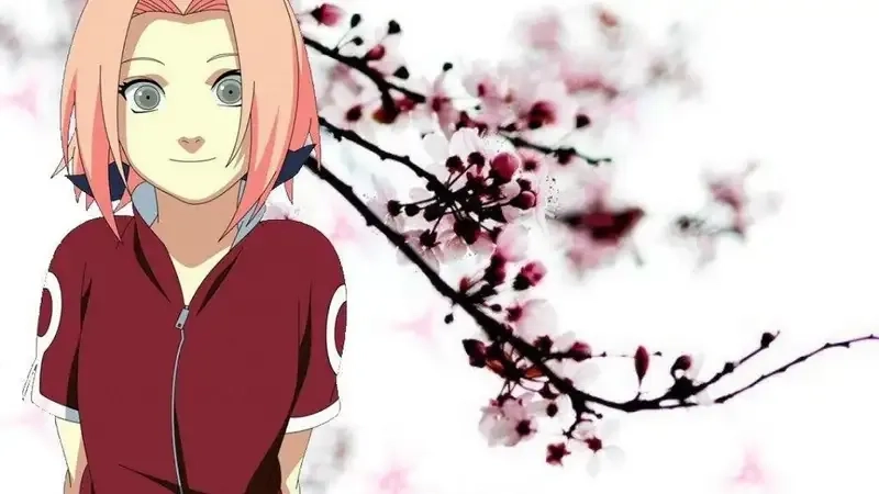 Xem những video amv sakura haruno thú vị và sống động