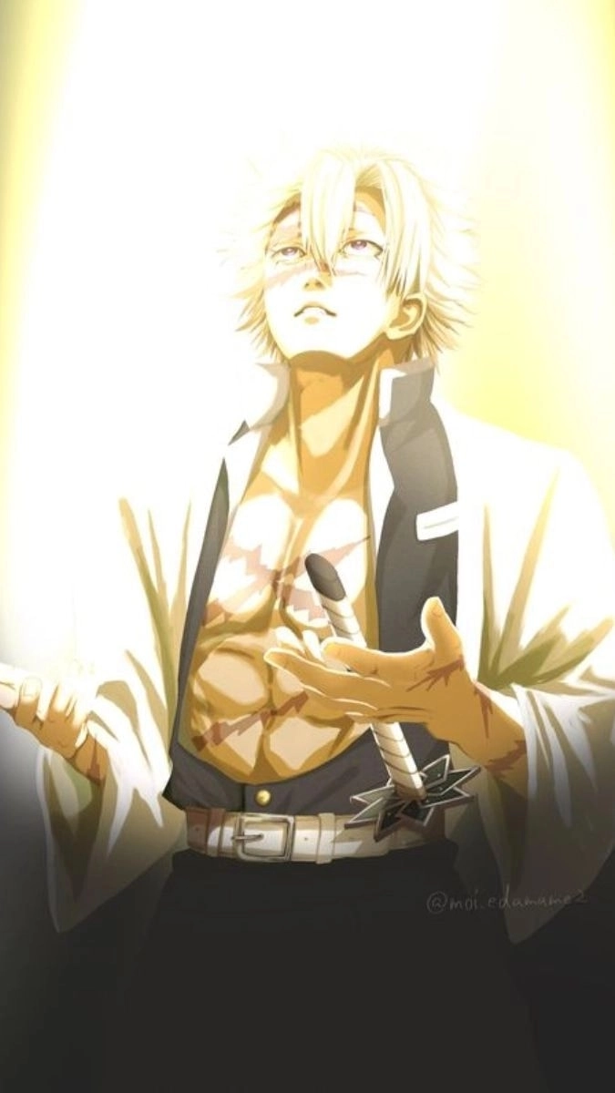 Chiêm ngưỡng bộ sưu tập sanemi shinazugawa fanart độc đáo