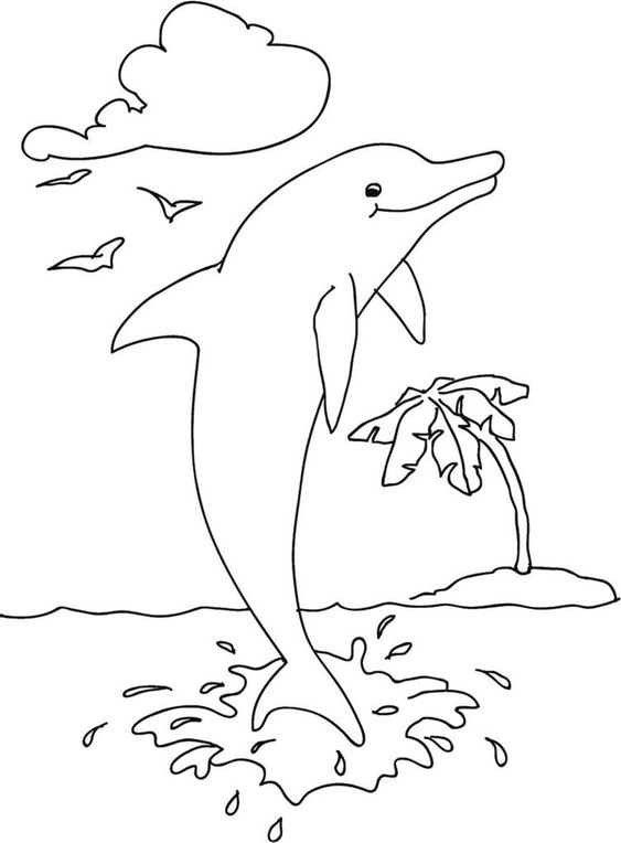 Tô màu cùng tranh tô màu cá heo và rùa đầy sáng tạo