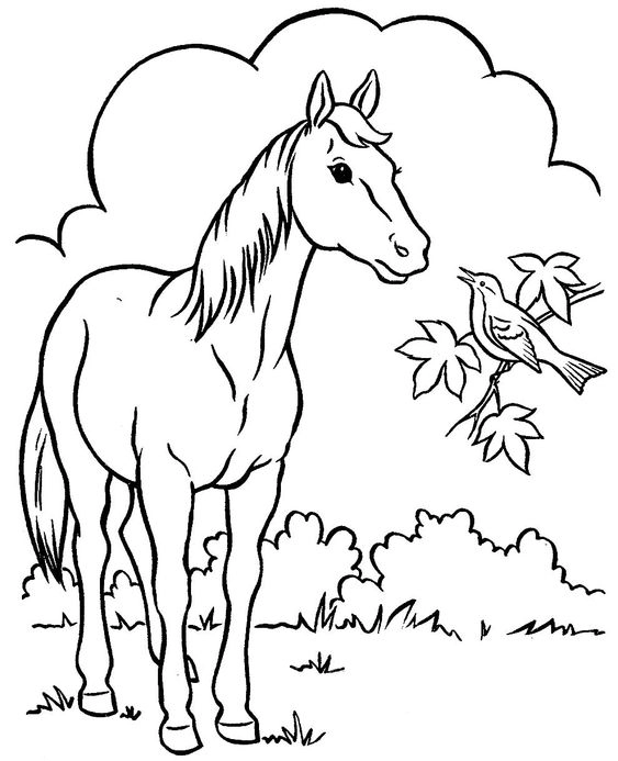 Vẽ nhanh với tranh tô màu con ngựa đơn giản dễ học