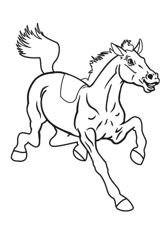 Khám phá tranh tô màu con ngựa sinh động cho bé vui học