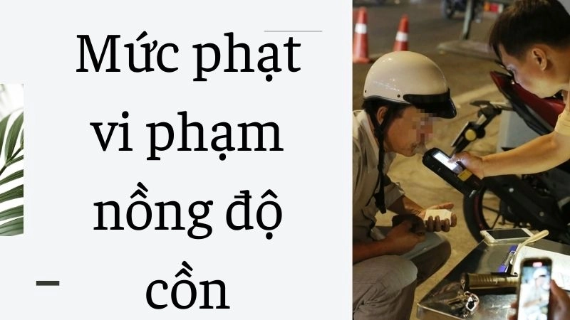 Quy định chung về nồng độ cồn khi lái xe năm 2025