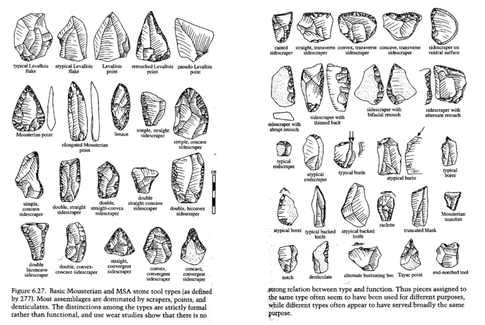 Dụng cụ thời kỳ đồ đá dùng trong hái lượm của người tiền sử