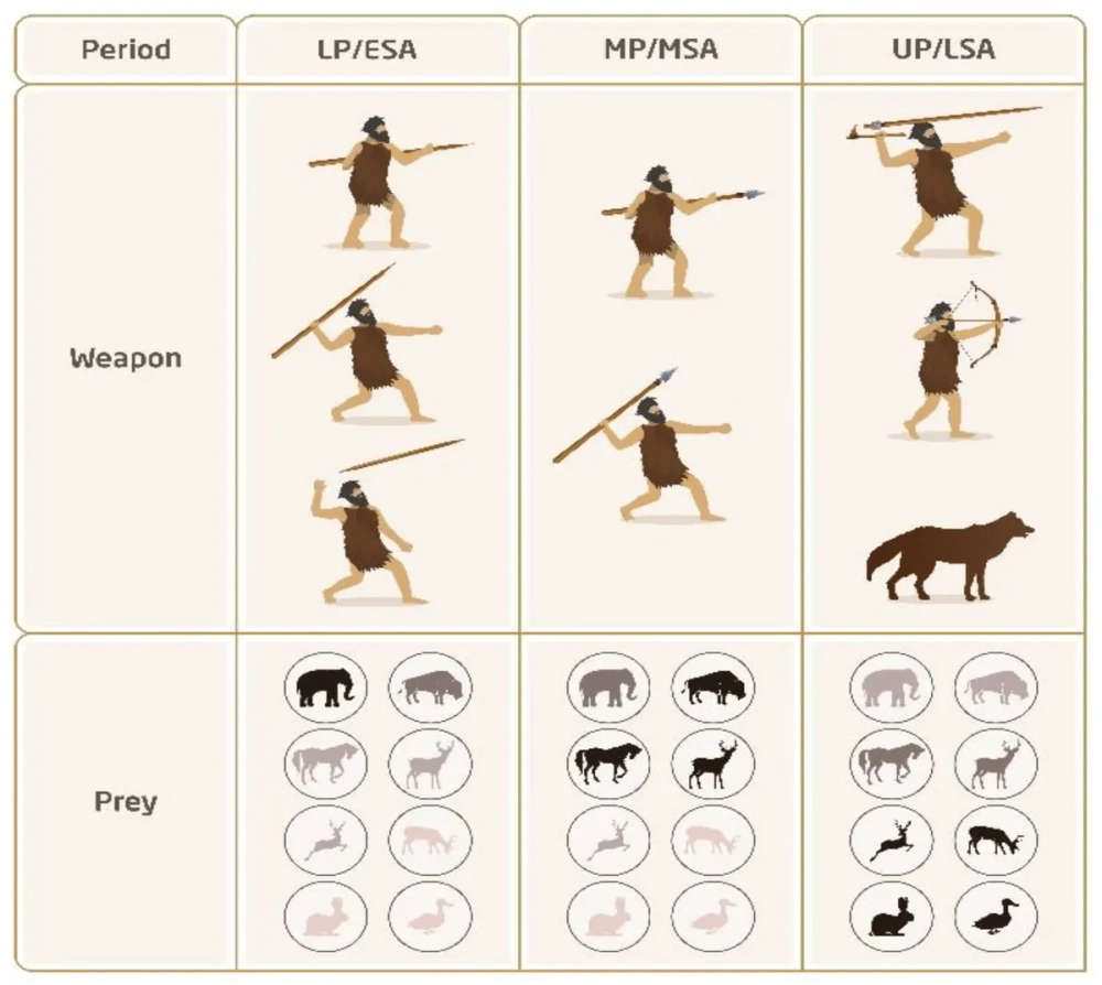 Dụng cụ thời kỳ đồ đá làm đồ trang sức từ vỏ sò và đá
