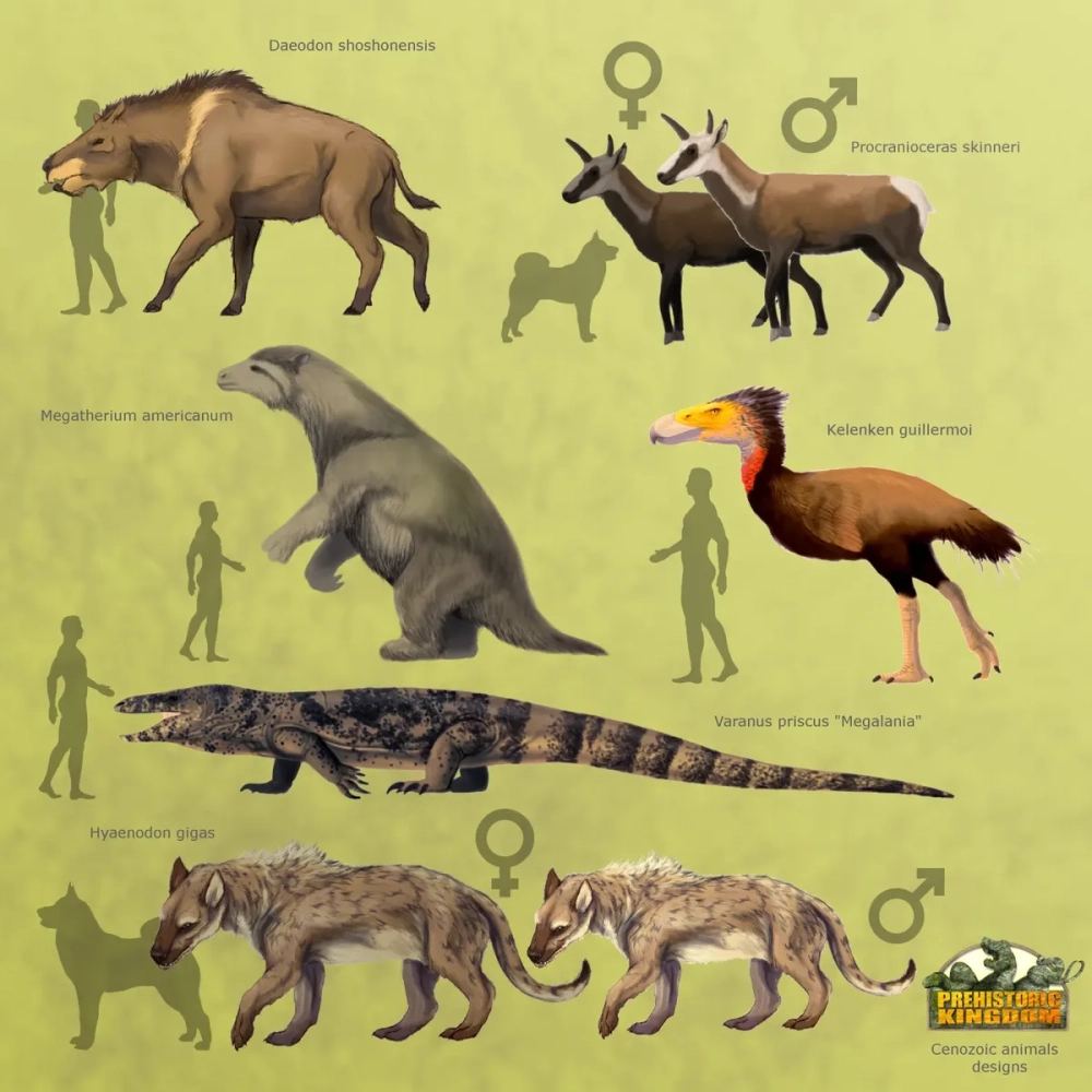 Sự tiến hóa của con vật thời tiền sử qua các thời kỳ địa chất