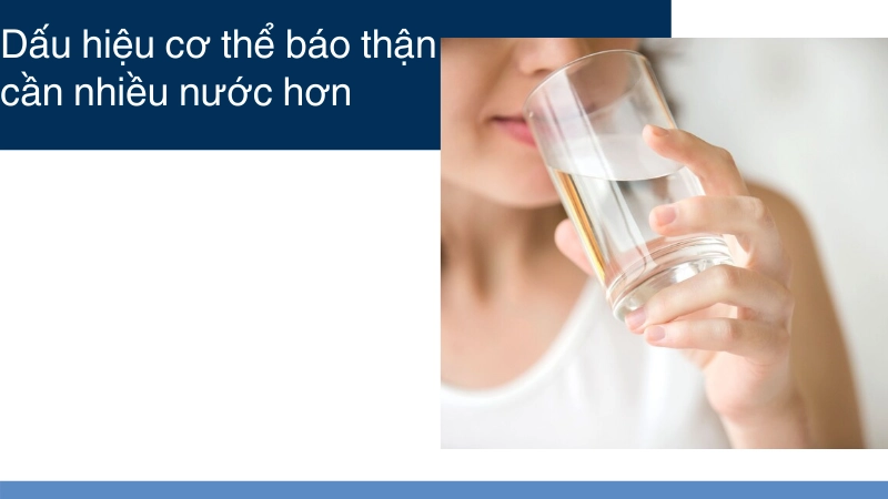 Dấu hiệu cơ thể báo thận cần nhiều nước hơn