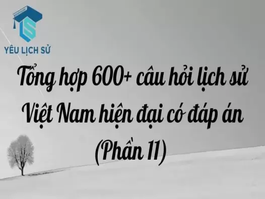 Tổng hợp 600+ câu hỏi lịch sử Việt Nam hiện đại có đáp án (Phần 11)