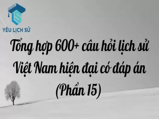 Tổng hợp 600+ câu hỏi lịch sử Việt Nam hiện đại có đáp án (Phần 15)