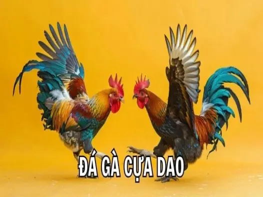 Đá gà cựa dao SV368 tung đòn chí mạng chỉ trong 5 giây