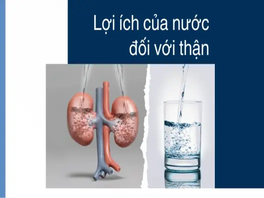 Hướng dẫn cách uống nước hợp lý giúp thận luôn khỏe mạnh
