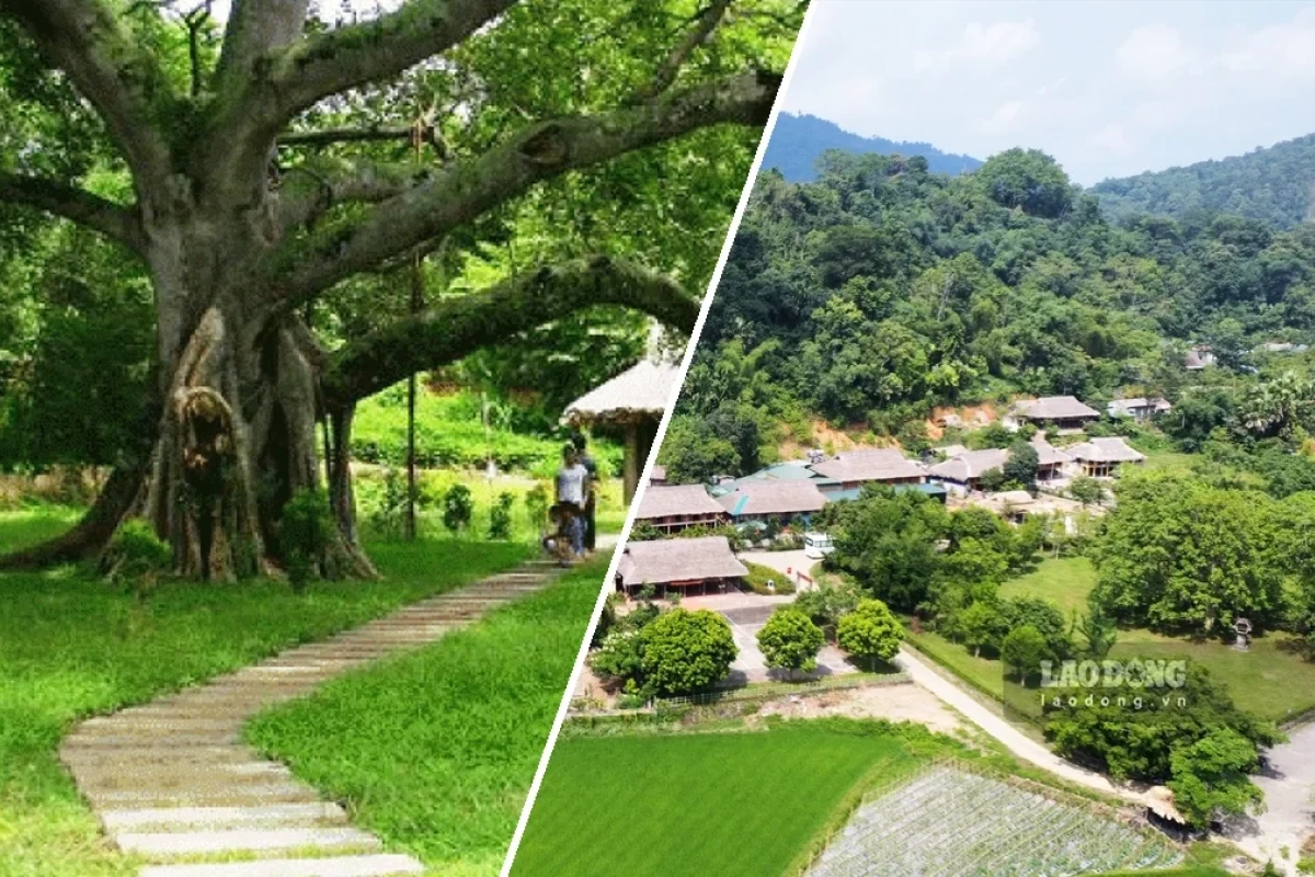 Khu Di Tích Tân Trào Thủ Đô Kháng Chiến Giữa Núi Rừng Việt Bắc