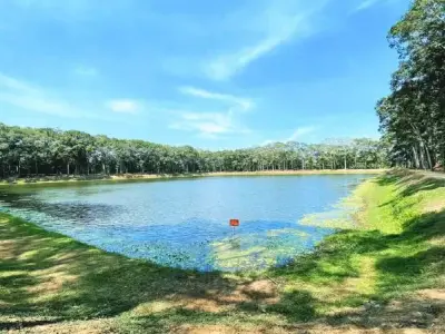 Khám phá khu di tích Ao Bà Om - Di tích lịch sử văn hóa Khmer