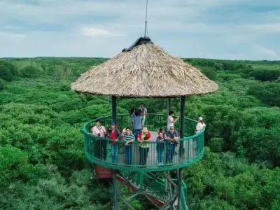 Khám phá khu di tích Rừng Sác - Hành trình về nguồn cội