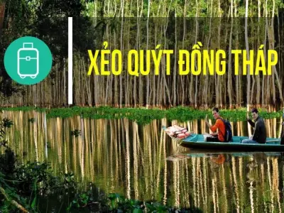 Trải nghiệm khu di tích Xẻo Quít - Di sản lịch sử và thiên nhiên