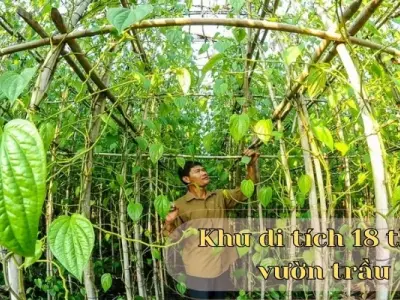 Khu di tích 18 Thôn Vườn Trầu - Nơi ghi dấu bản sắc văn Hóa Việt