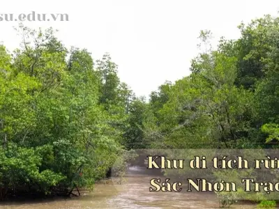 Khu di tích rừng Sác Nhơn Trạch - Nơi ghi dấu lịch sử quân đội Việt Nam