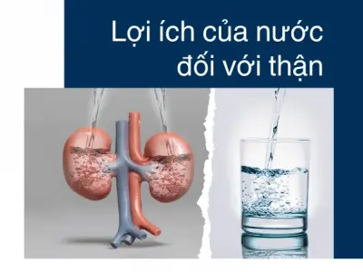 Hướng dẫn cách uống nước hợp lý giúp thận luôn khỏe mạnh