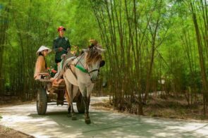 Di tích Ô Tà Sóc – Nhân chứng lịch sử kháng chiến hào hùng