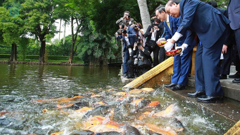 Khám phá thiết kế đặc biệt của nhà sàn Bác Hồ 3