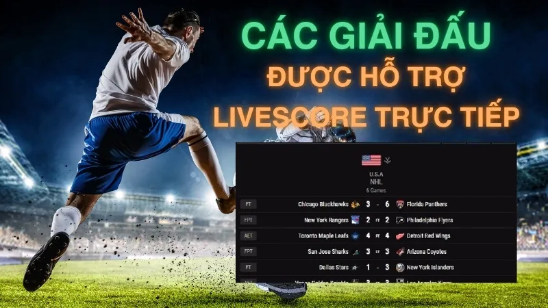 Các giải đấu đang được hỗ trợ livescore trực tiếp