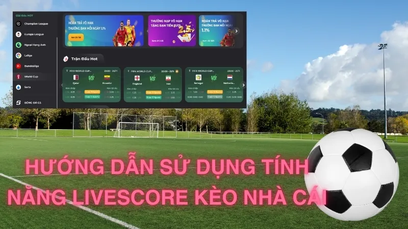 Hướng dẫn sử dụng tính năng Livescore kèo nhà cái