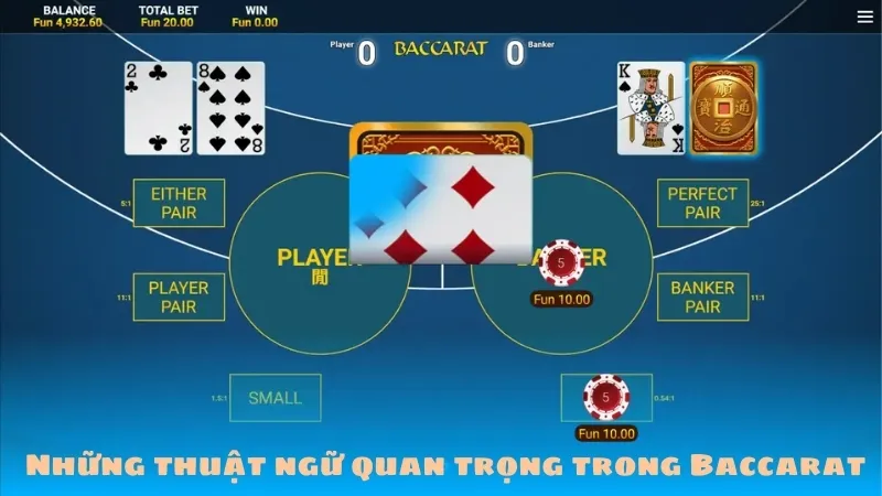 Những thuật ngữ quan trọng trong Baccarat