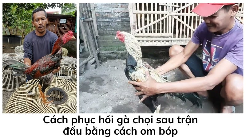 Phục hồi gà 04