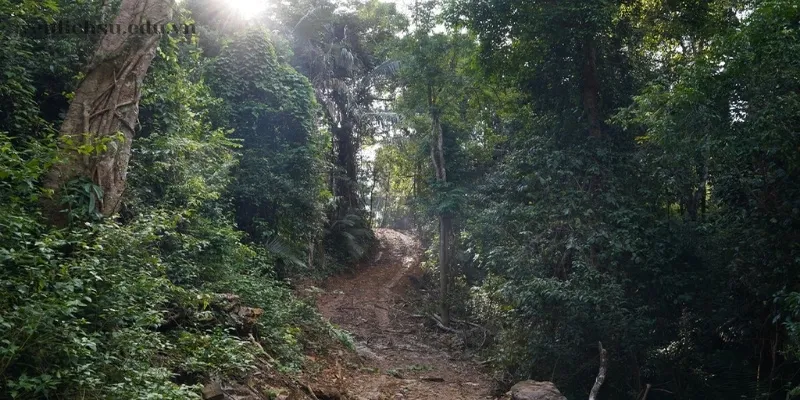 Giá trị du lịch và giáo dục khu di tích Sa Lôn